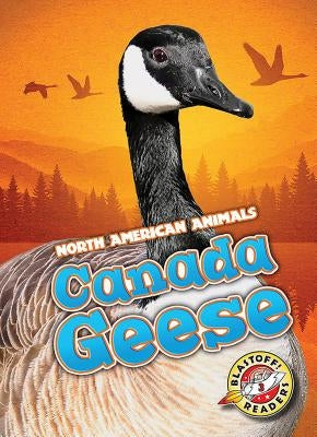 Canada Geese by Borgert-Spaniol, Megan