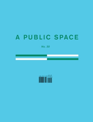 A Public Space No. 30 by Hughes, Brigid