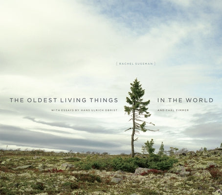 The Oldest Living Things in the World by Sussman, Rachel