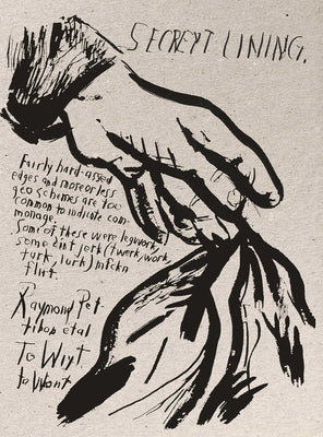 Raymond Pettibon: To Wit by Pettibon, Raymond